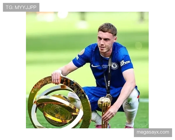 帕尔默本赛季比赛表现如何